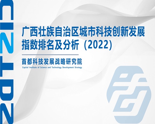 黑人巨根插入【成果发布】广西壮族自治区城市科技创新发展指数排名及分析（2022）